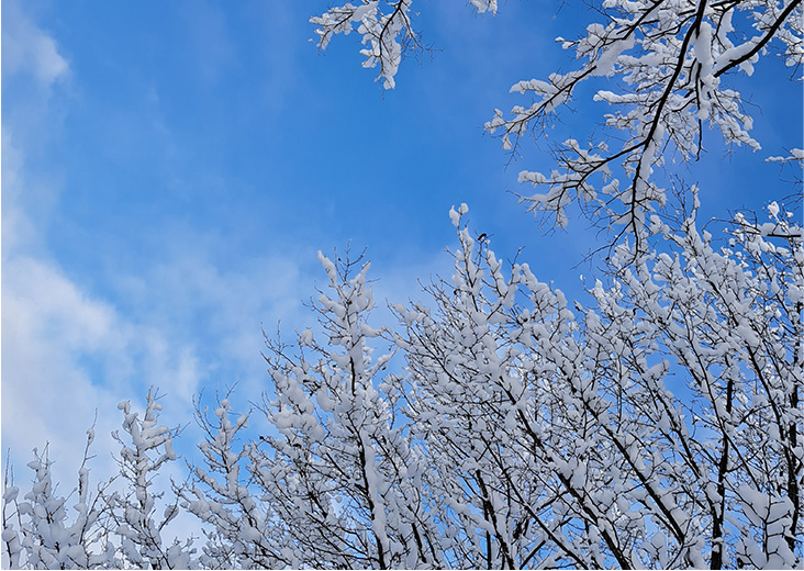 北海道で太陽光発電、しっかり発電できるの？